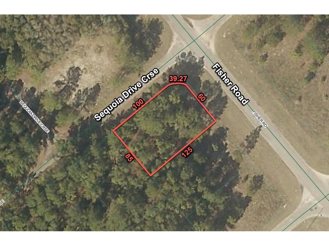 200 Fisher Road Ocklawaha FL 32179 O6397719 image1