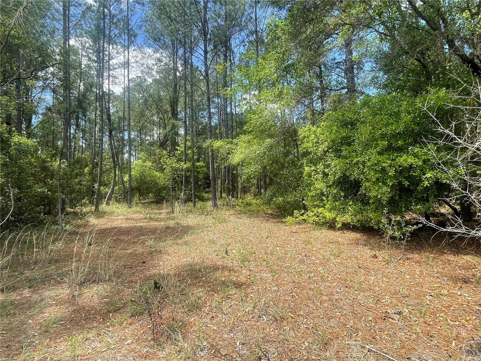 200 Fisher Road Ocklawaha FL 32179 O6397719 image10