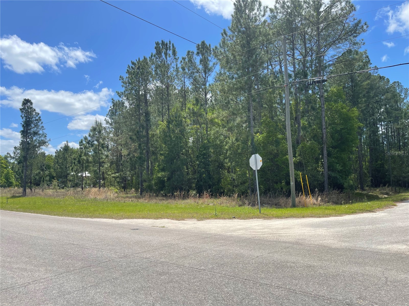 200 Fisher Road Ocklawaha FL 32179 O6397719 image6