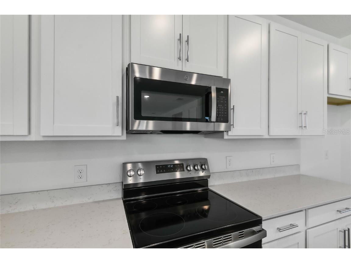 200 Flag Lilly Lane Umatilla FL 32784 S5127455 image4