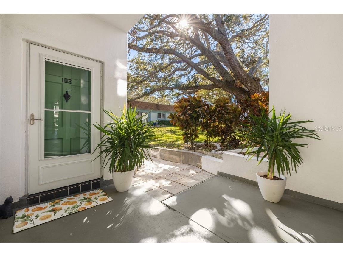 200 Glennes Lane #103 Dunedin FL 34698 TB8349539 image1