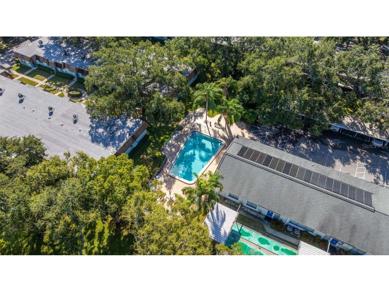 200 Glennes Lane #103 Dunedin FL 34698 TB8443010 image28