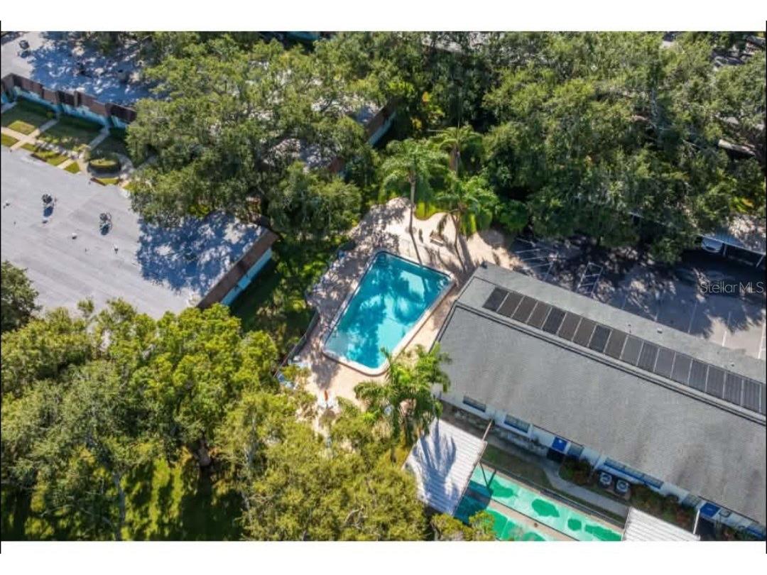 200 Glennes Lane #103 Dunedin FL 34698 TB8511494 image2