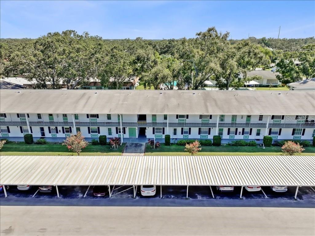 200 Glennes Lane #108 Dunedin FL 34698 TB8429366 image47