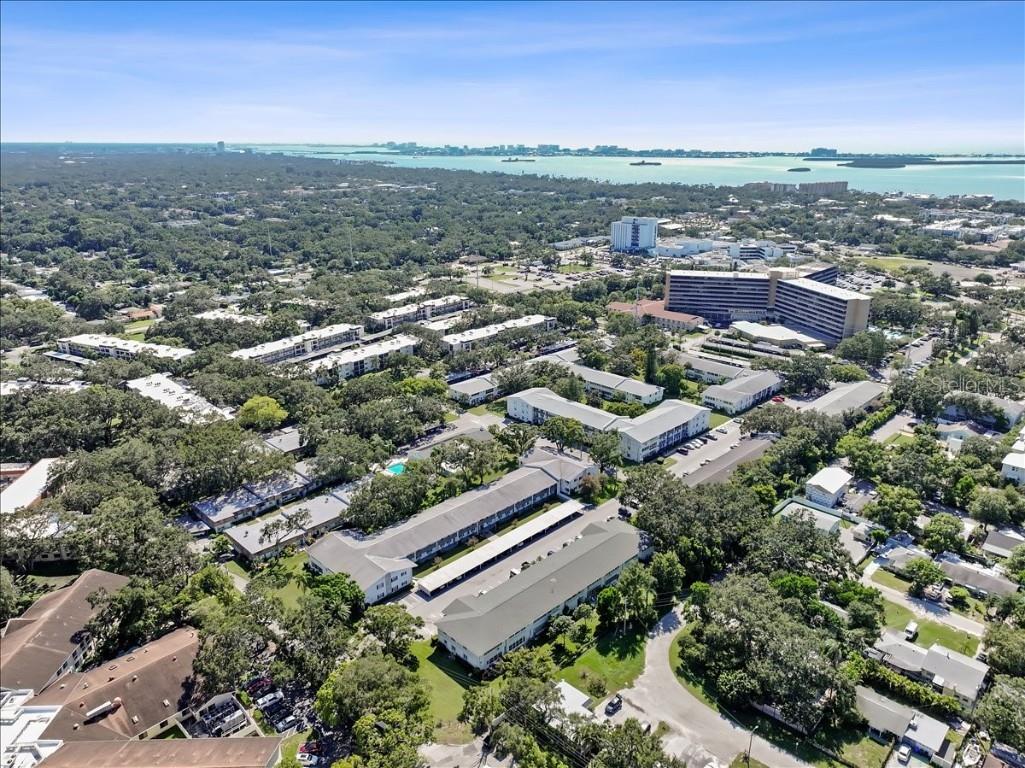 200 Glennes Lane #108 Dunedin FL 34698 TB8429366 image52