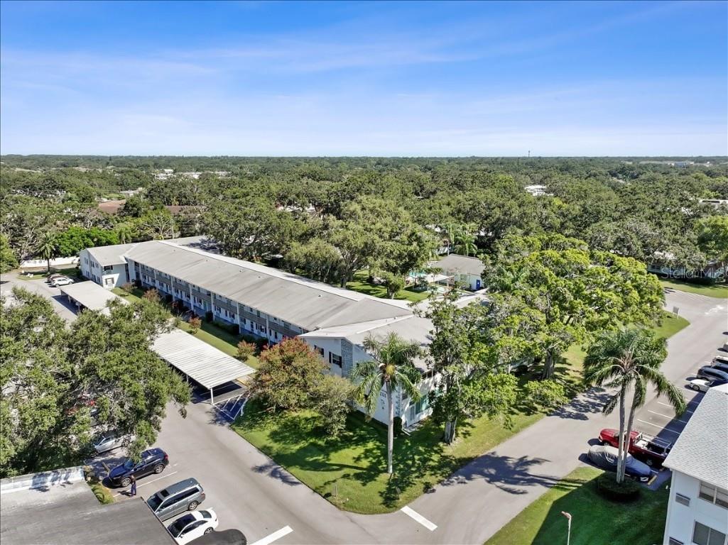 200 Glennes Lane #108 Dunedin FL 34698 TB8429366 image53