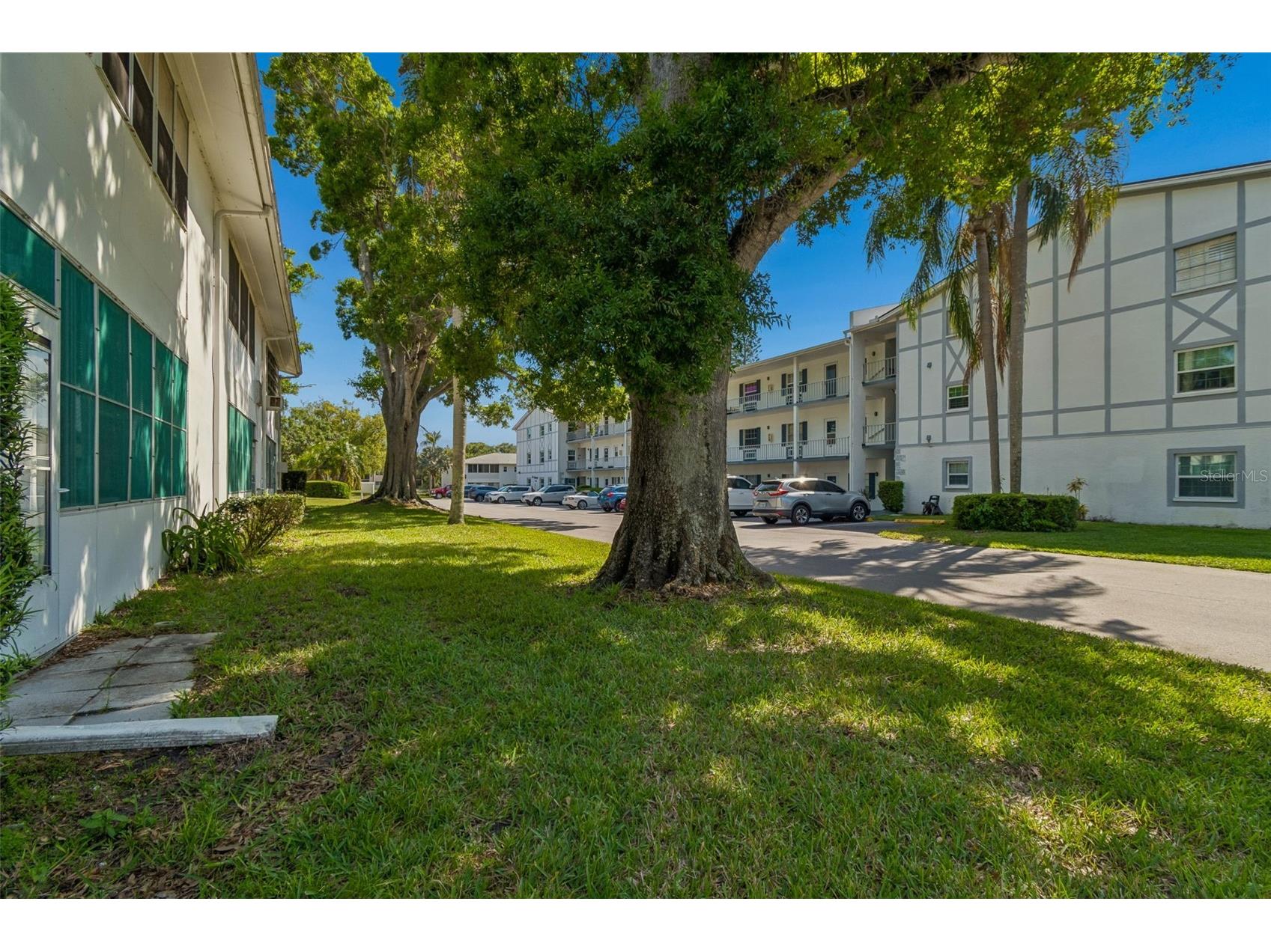 200 Glennes Lane #112 Dunedin FL 34698 TB8500993 image25