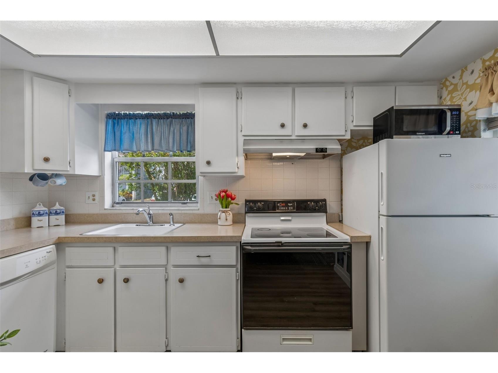 200 Glennes Lane #112 Dunedin FL 34698 TB8500993 image5
