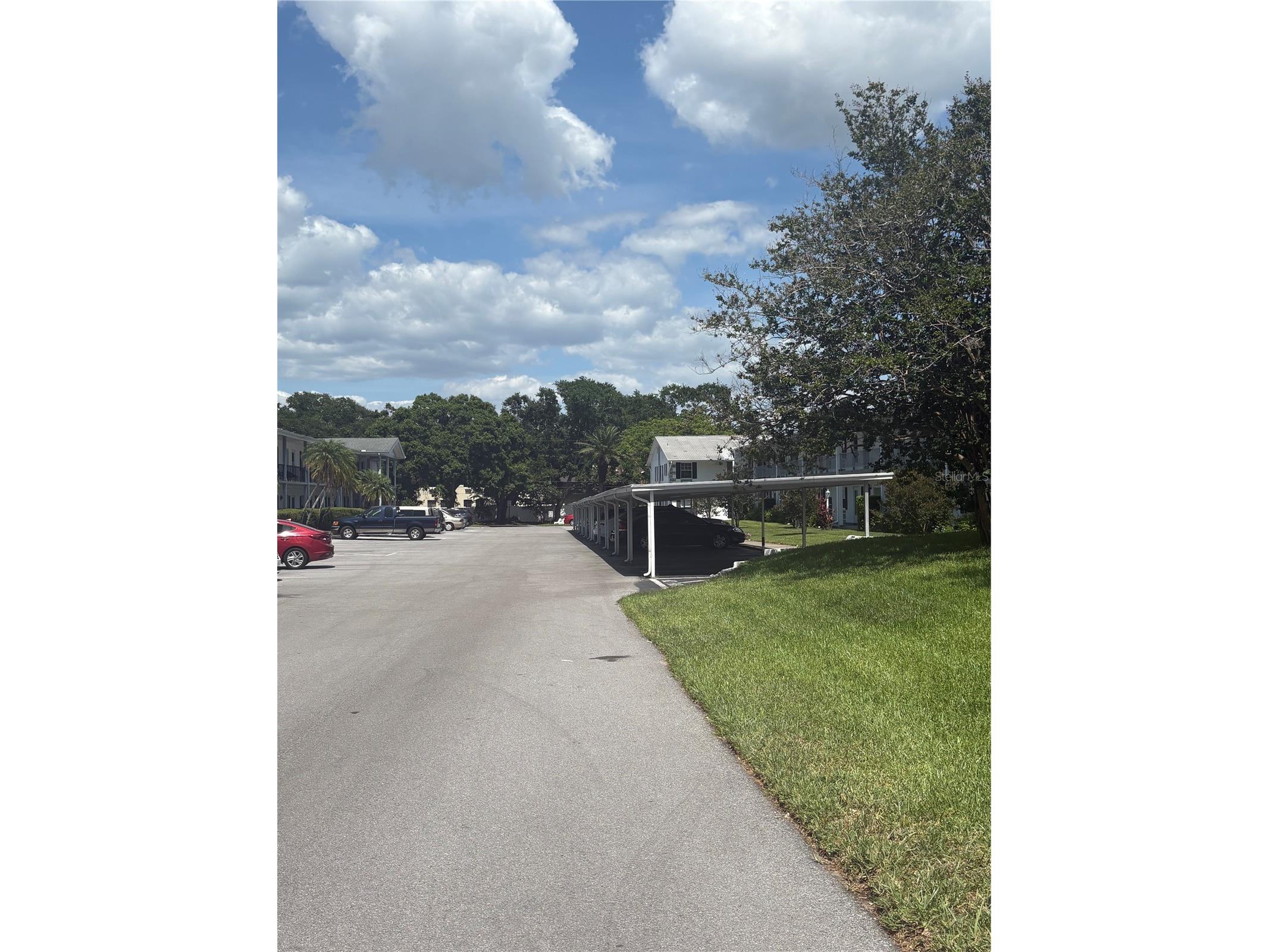 200 Glennes Lane #114 Dunedin FL 34698 TB8516726 image20