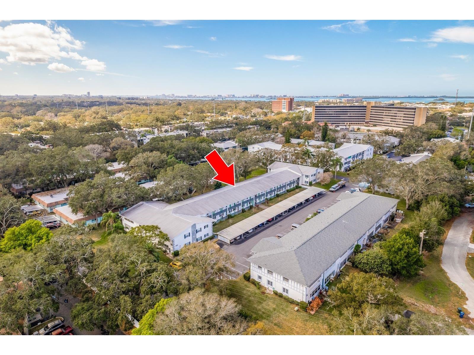 200 Glennes Lane #205 Dunedin FL 34698 TB8520032 image2