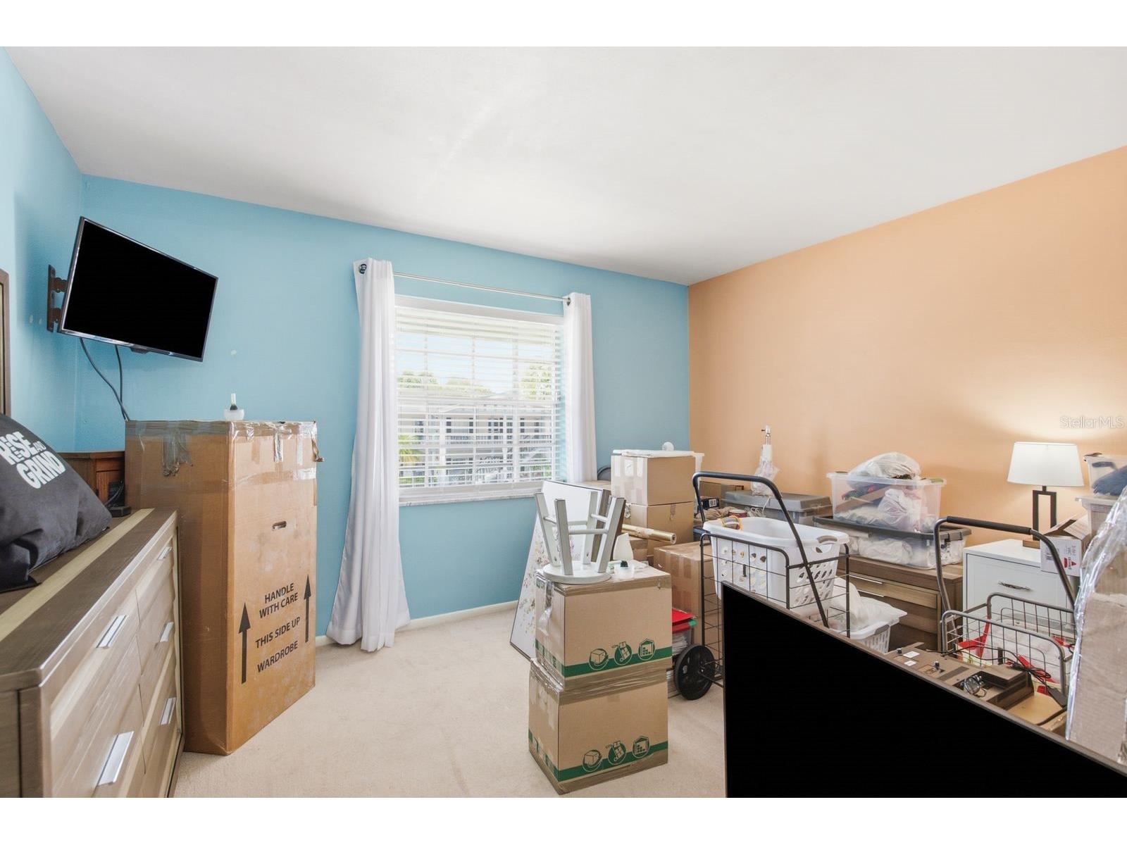 200 Glennes Lane #205 Dunedin FL 34698 TB8520032 image20