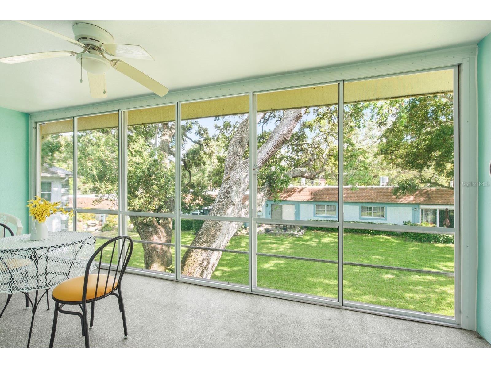 200 Glennes Lane #205 Dunedin FL 34698 TB8520032 image21