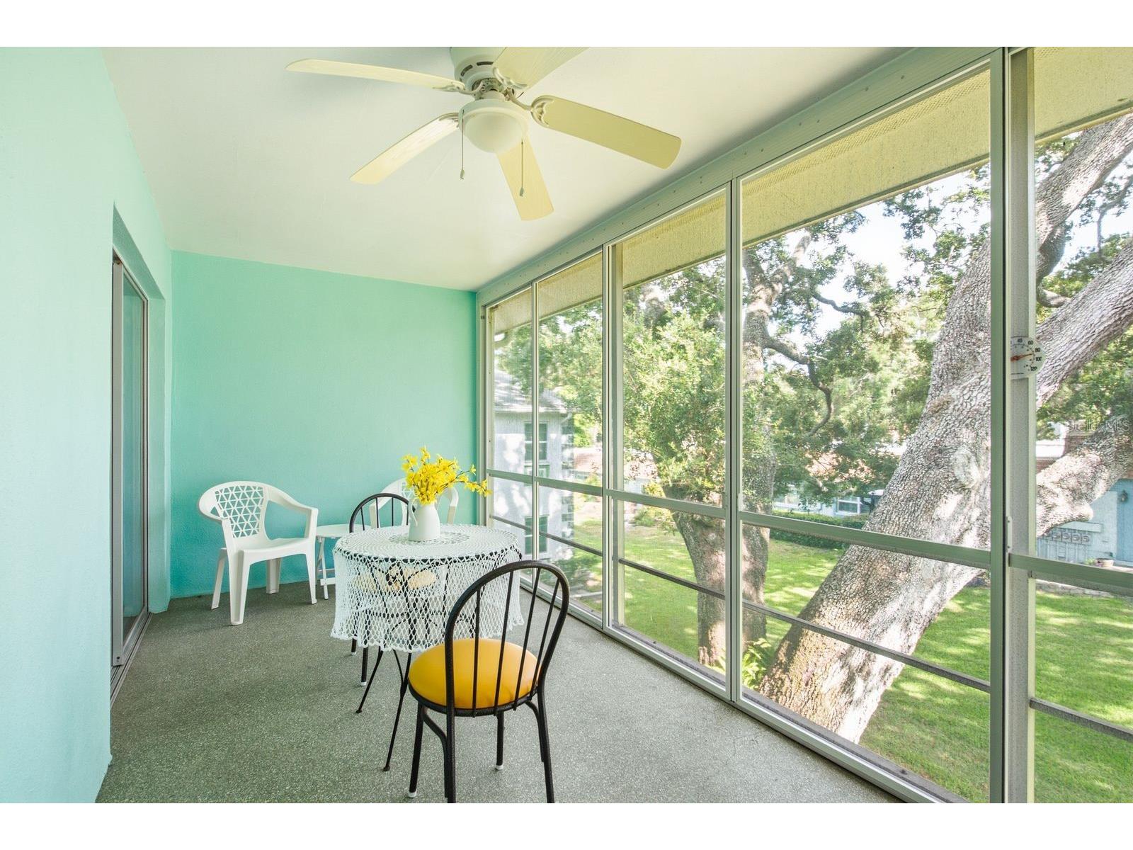 200 Glennes Lane #205 Dunedin FL 34698 TB8520032 image22