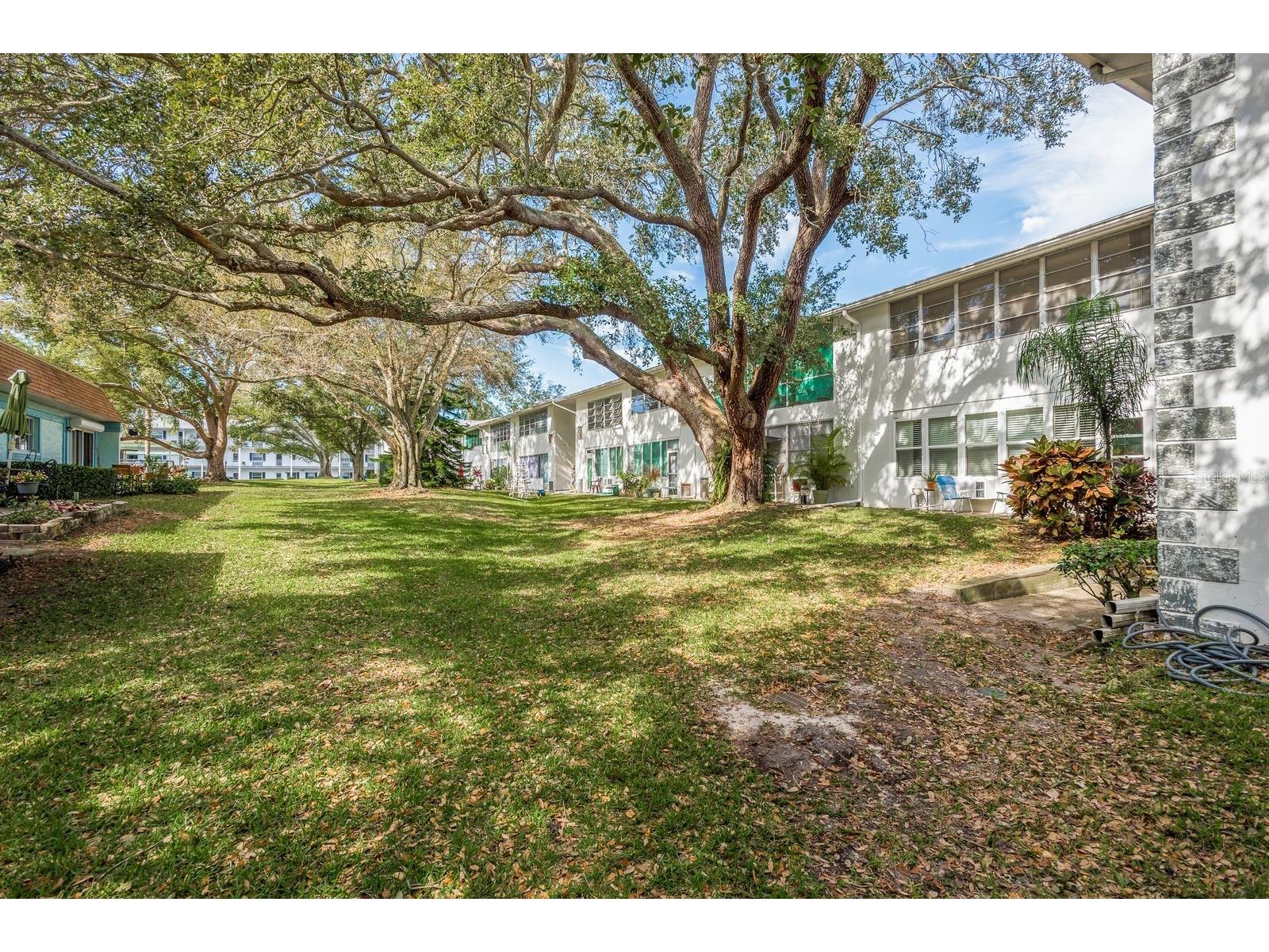 200 Glennes Lane #205 Dunedin FL 34698 TB8520032 image25