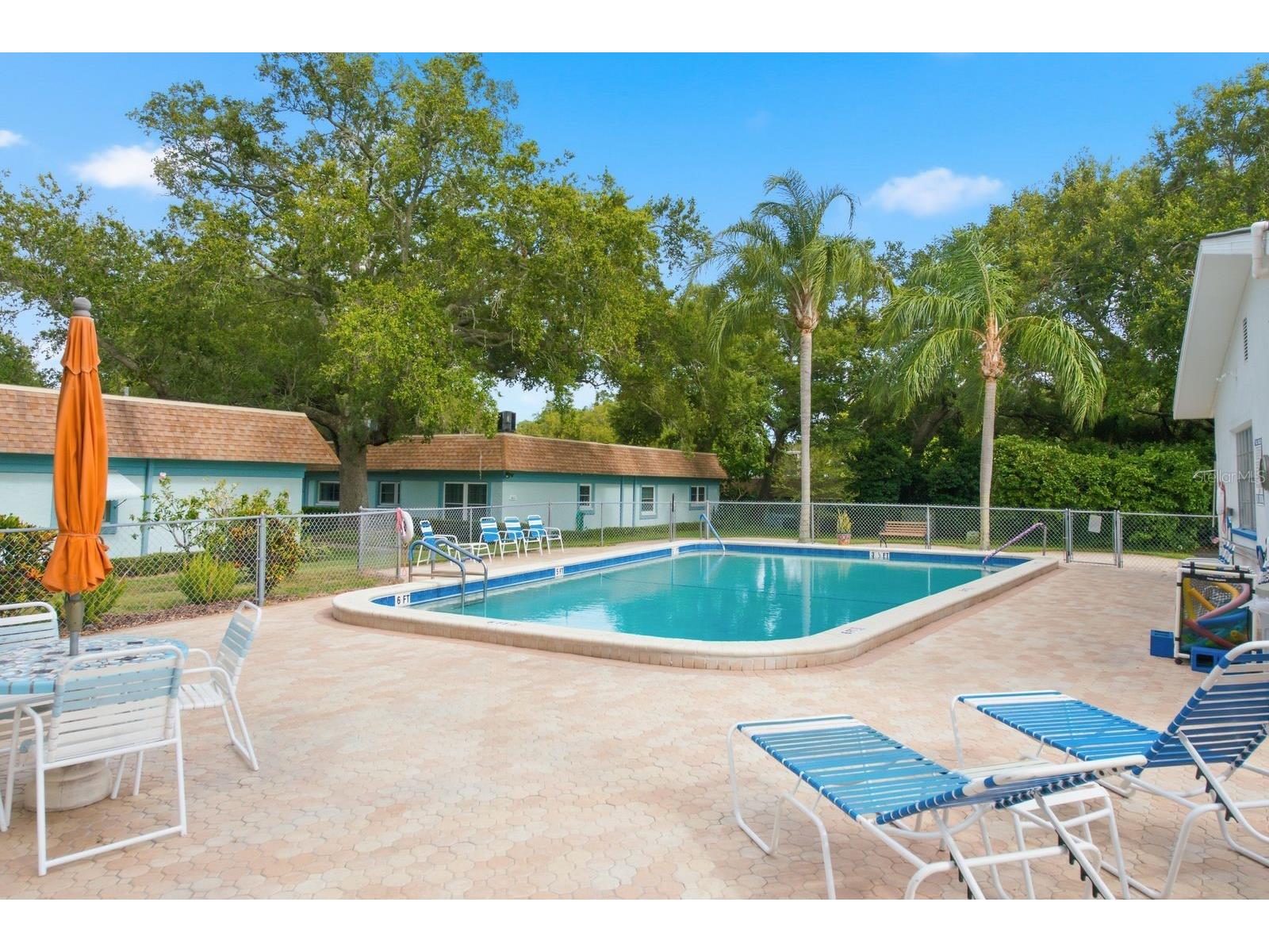 200 Glennes Lane #205 Dunedin FL 34698 TB8520032 image26