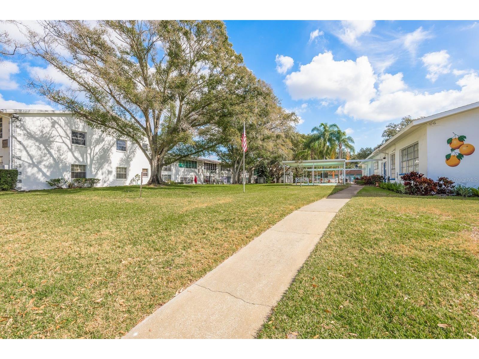 200 Glennes Lane #205 Dunedin FL 34698 TB8520032 image31