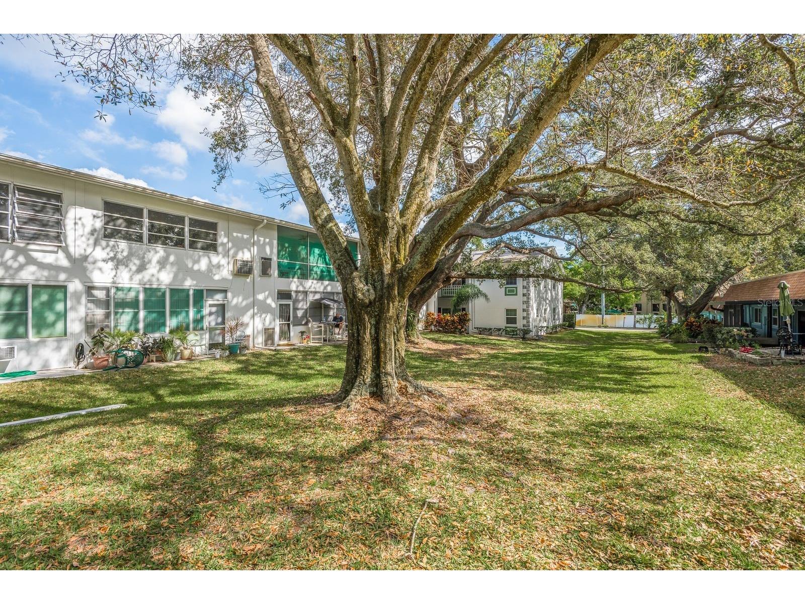 200 Glennes Lane #205 Dunedin FL 34698 TB8520032 image32