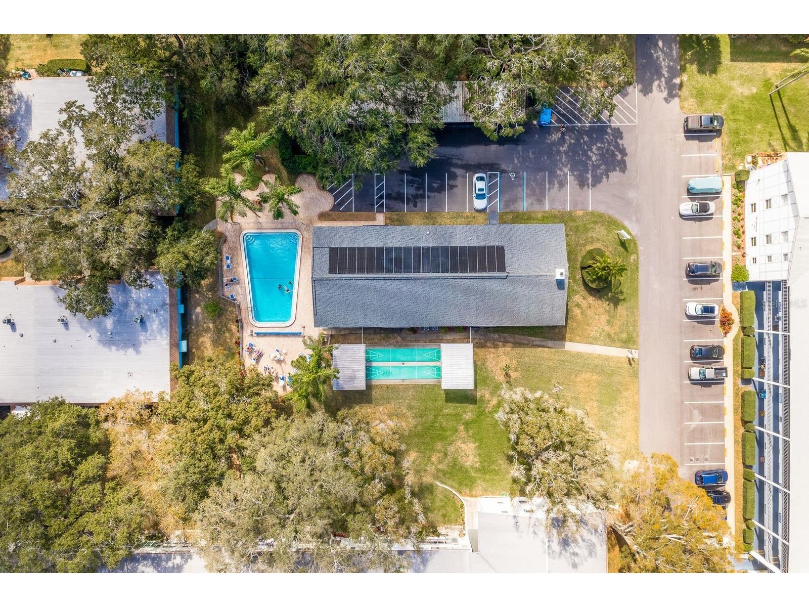 200 Glennes Lane #205 Dunedin FL 34698 TB8520032 image36