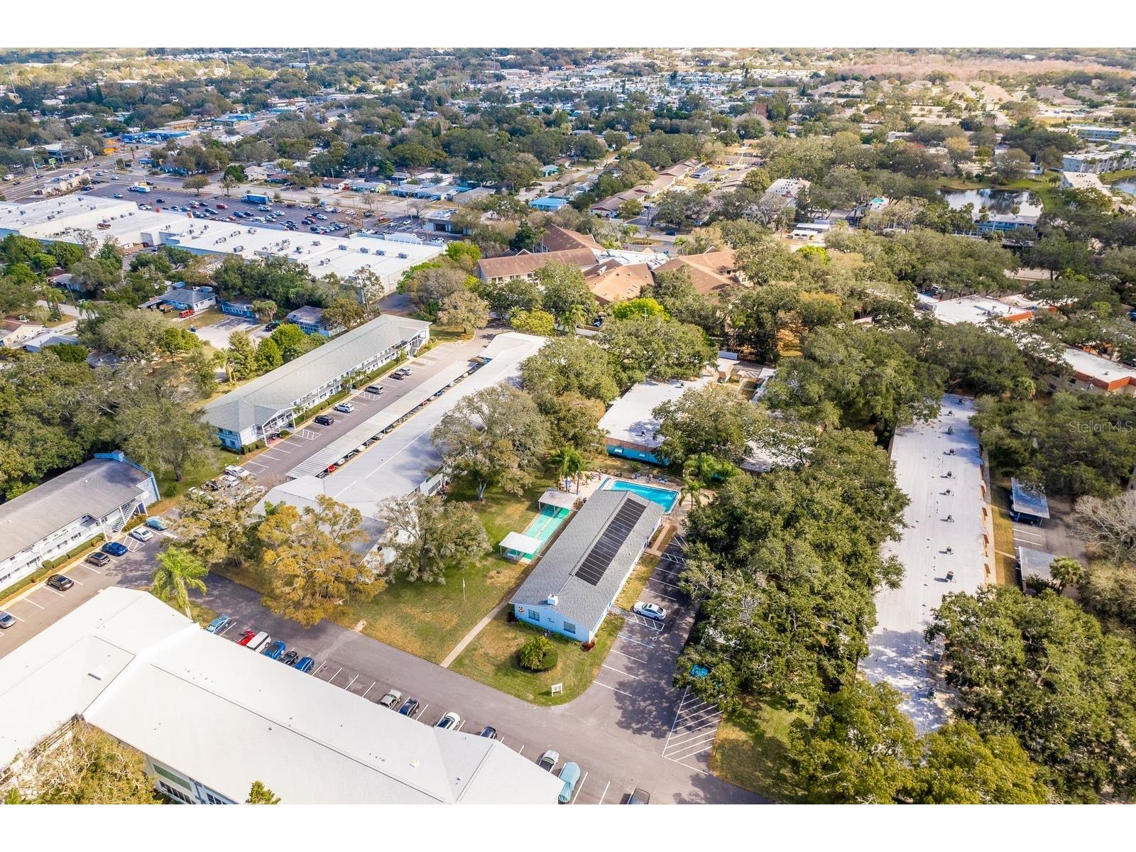 200 Glennes Lane #205 Dunedin FL 34698 TB8520032 image37