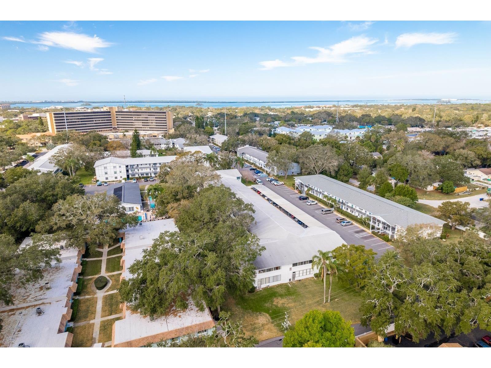200 Glennes Lane #205 Dunedin FL 34698 TB8520032 image38