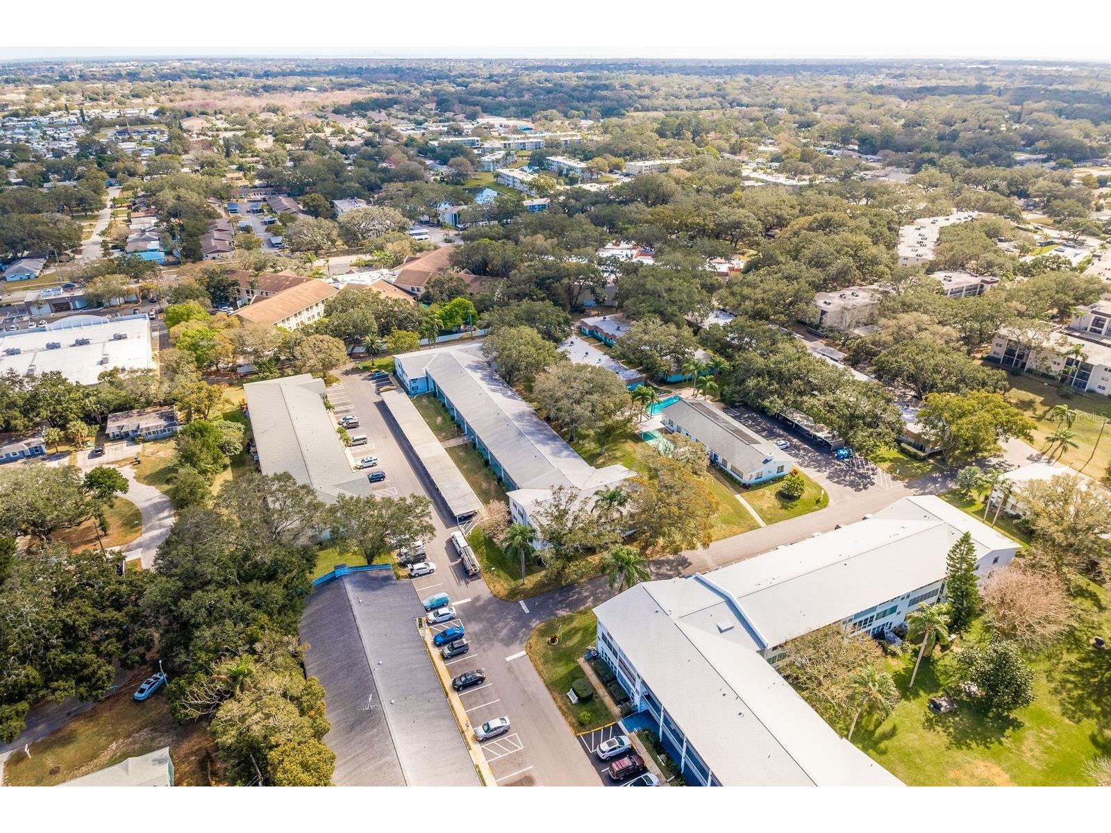 200 Glennes Lane #205 Dunedin FL 34698 TB8520032 image40
