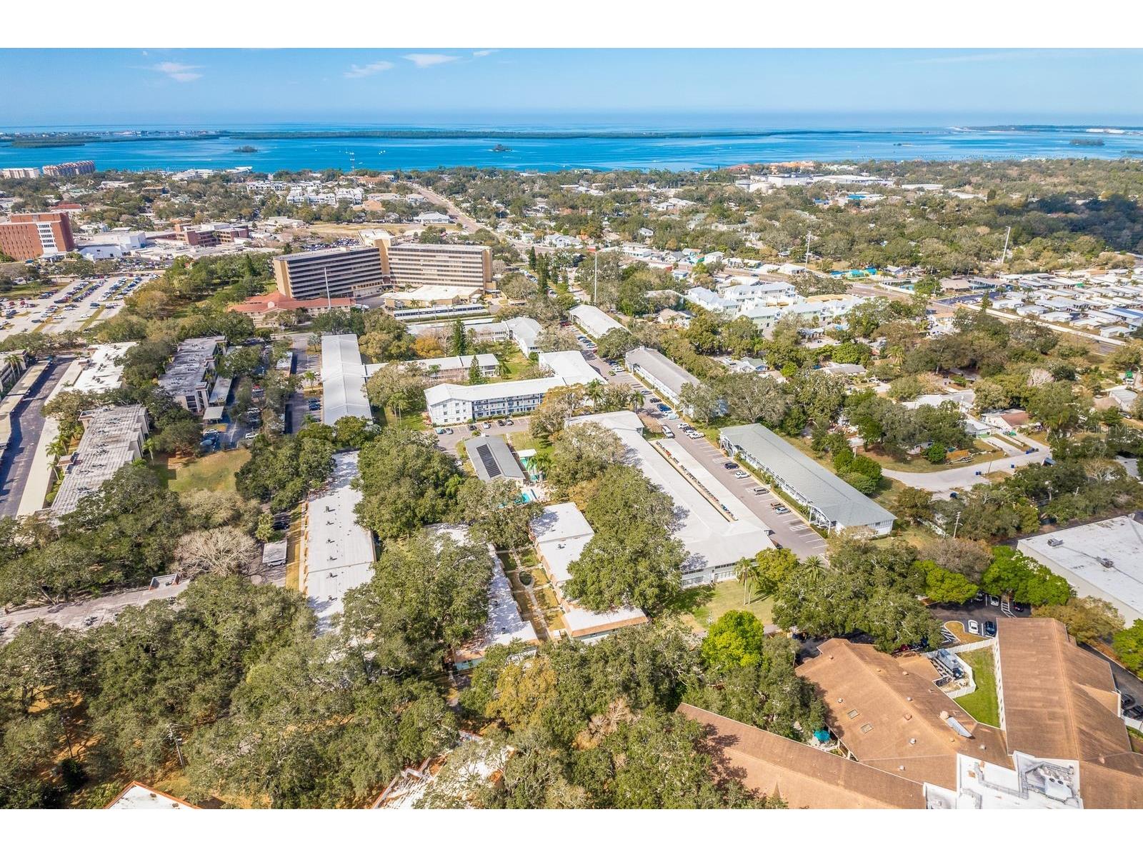 200 Glennes Lane #205 Dunedin FL 34698 TB8520032 image41