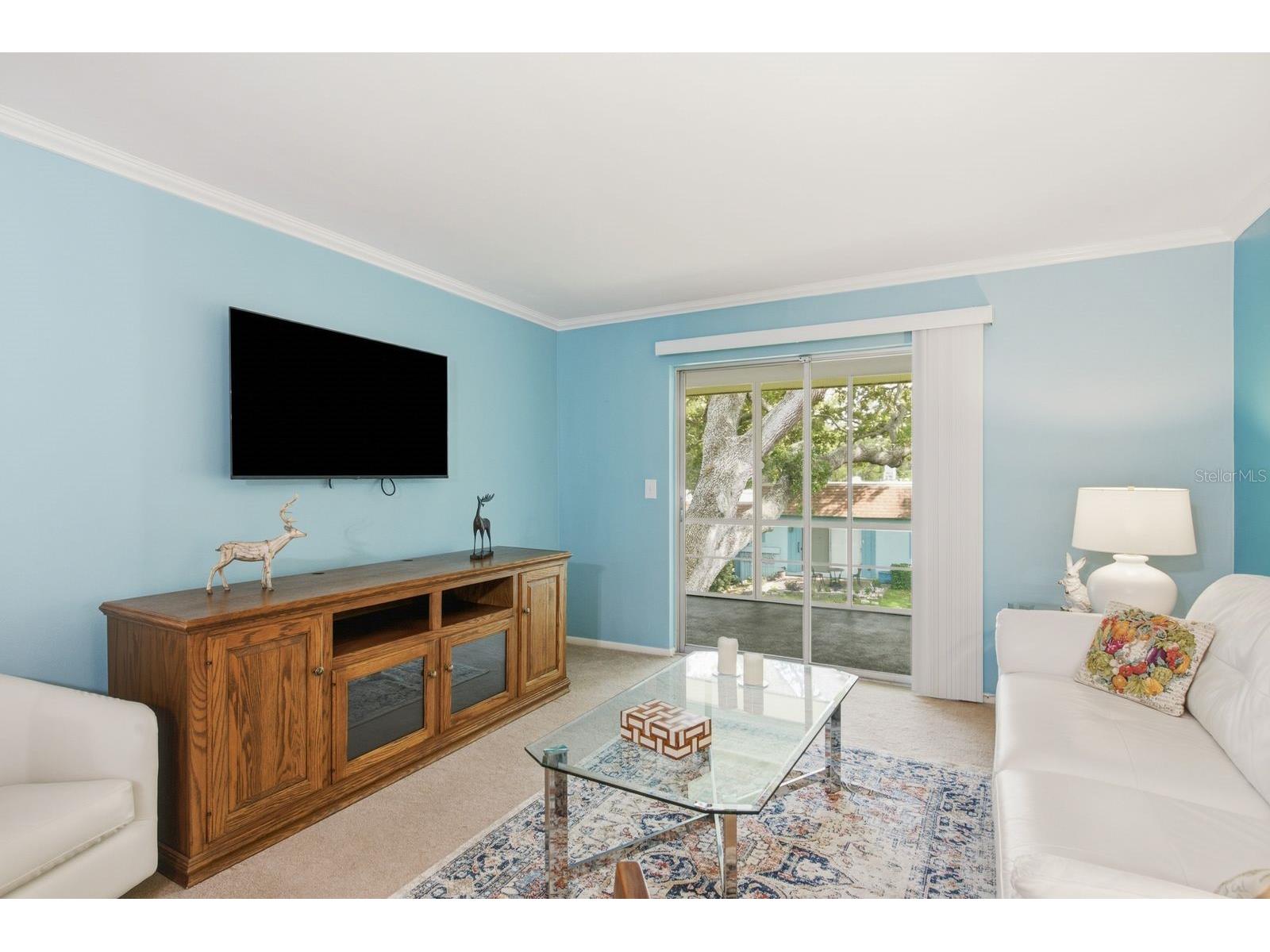 200 Glennes Lane #205 Dunedin FL 34698 TB8520032 image8