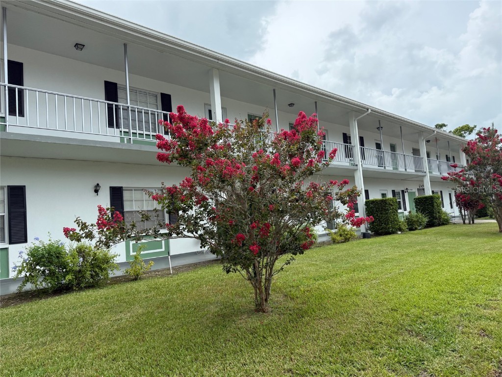 200 Glennes Lane #206 Dunedin FL 34698 TB8332342 image1