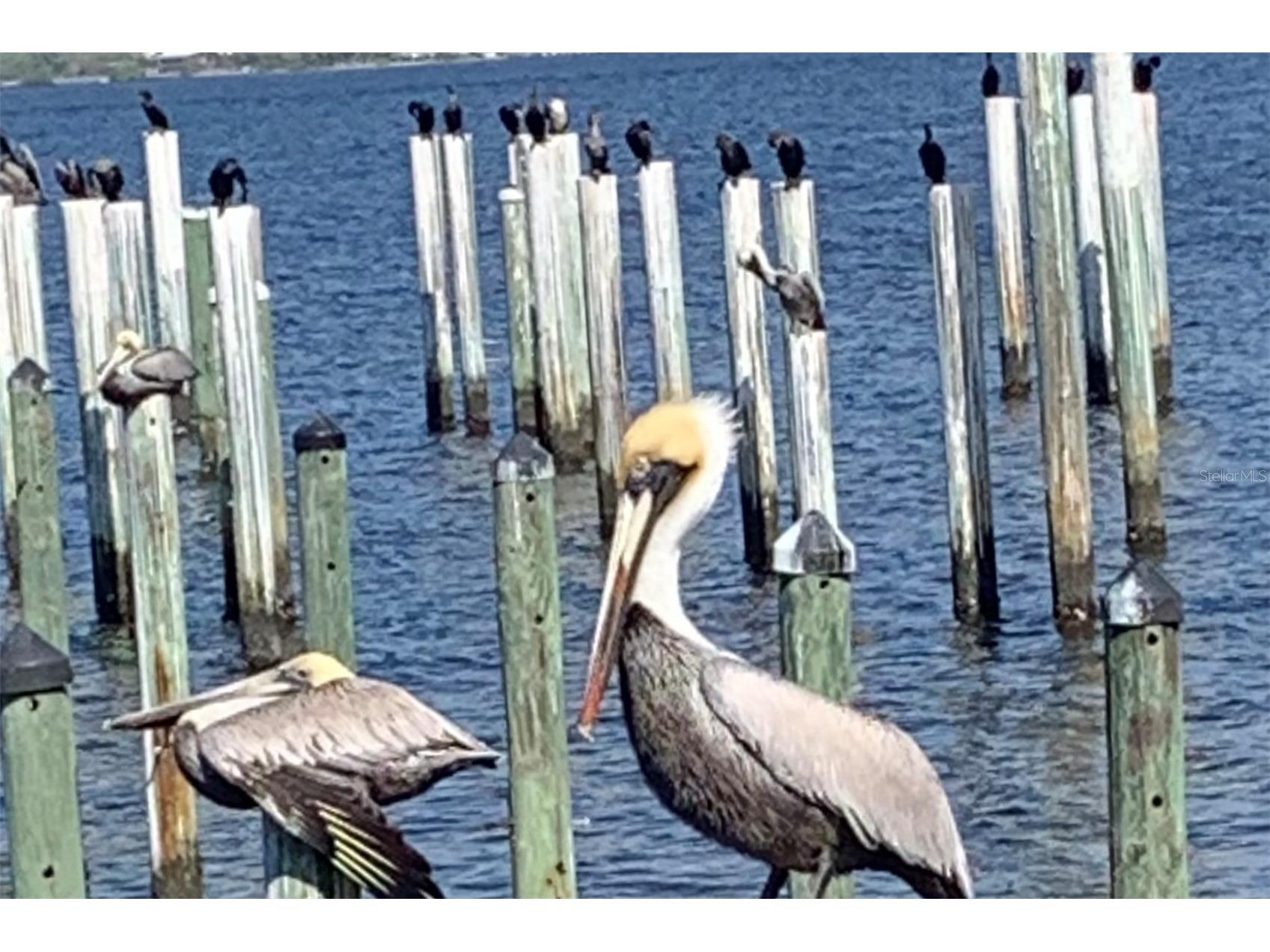 200 Harbor Walk Drive #233 Punta Gorda FL 33950 - CHARLOTTE HARBOR/PEACE RIVER C7527202 image60