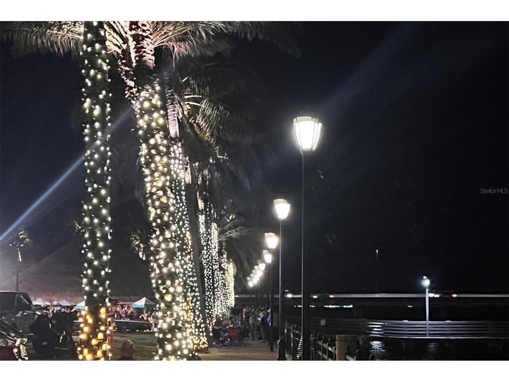 200 Harbor Walk Drive #233 Punta Gorda FL 33950 - CHARLOTTE HARBOR/PEACE RIVER C7527202 image68