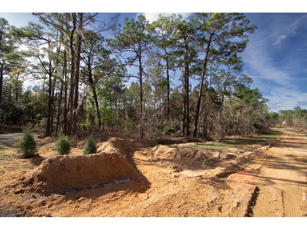 200 Hour Glass Circle Hawthorne FL 32640 - HOUR GLASS LAKE GC528329 image22