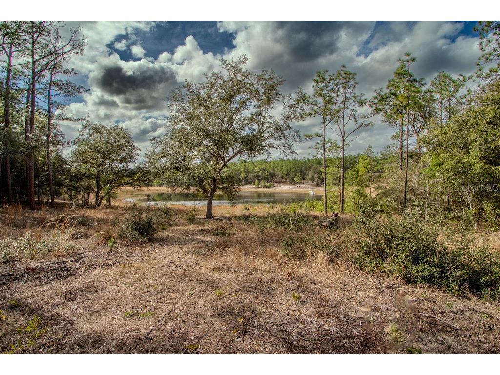 200 Hour Glass Circle Hawthorne FL 32640 - HOUR GLASS LAKE GC528329 image5