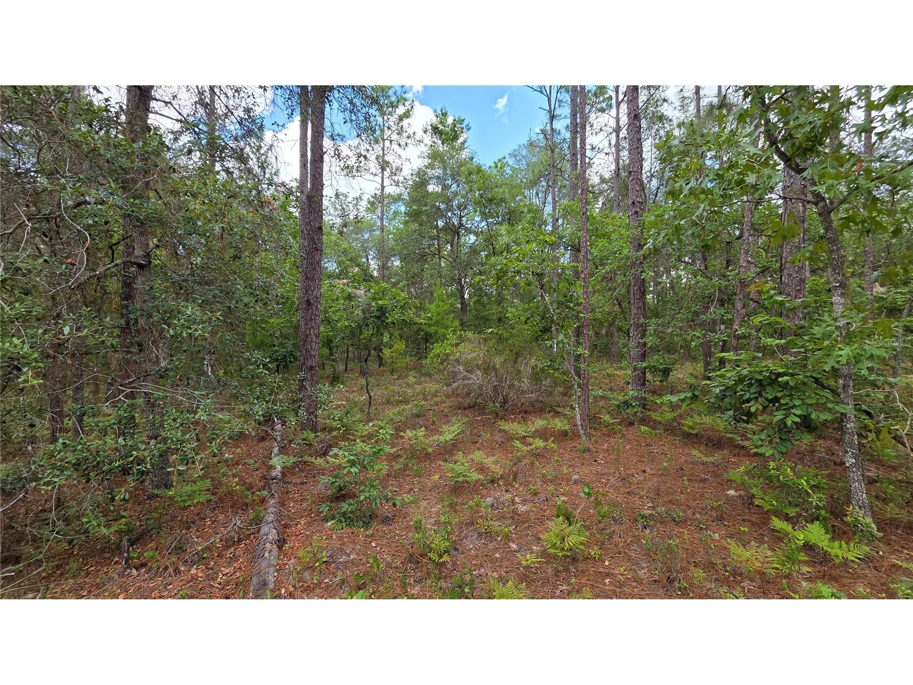 200 Hour Glass Circle Hawthorne FL 32640 - HOUR GLASS LAKE GC541158 image28