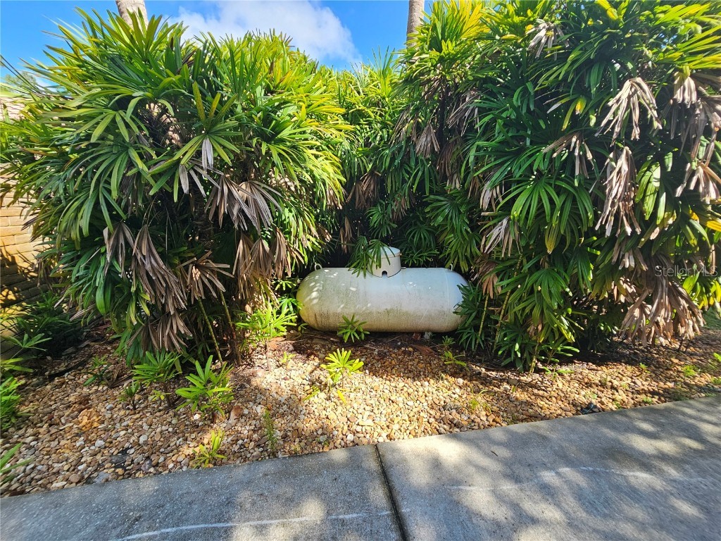 200 Island Way Winter Haven FL 33884 - LAKE LEWIS P4935447 image59