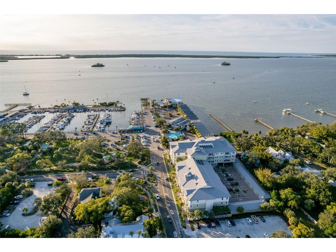 200 Main Street #204 Dunedin FL 34698 U8183684 image1