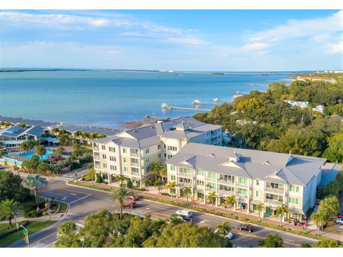 200 Main Street #204 Dunedin FL 34698 TB8403163 image1