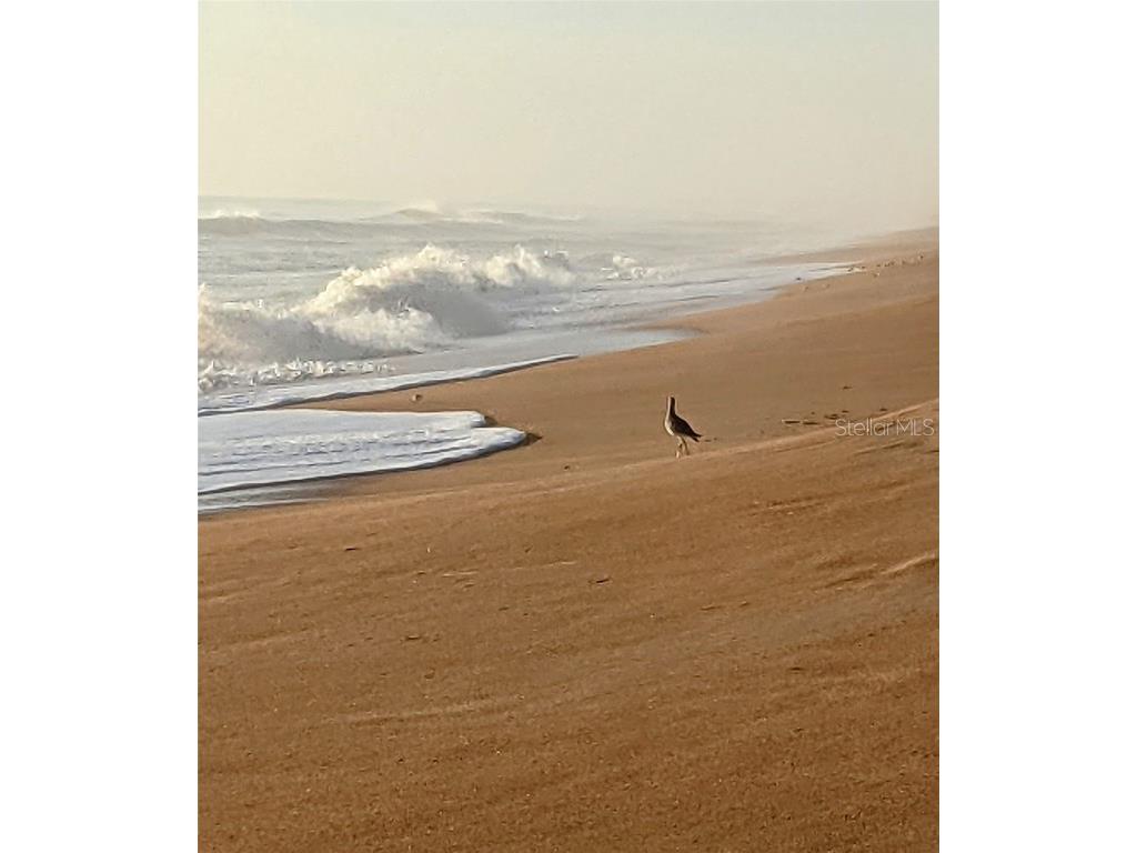 200 Marina Bay #104 Flagler Beach FL 32136 FC309830 image25