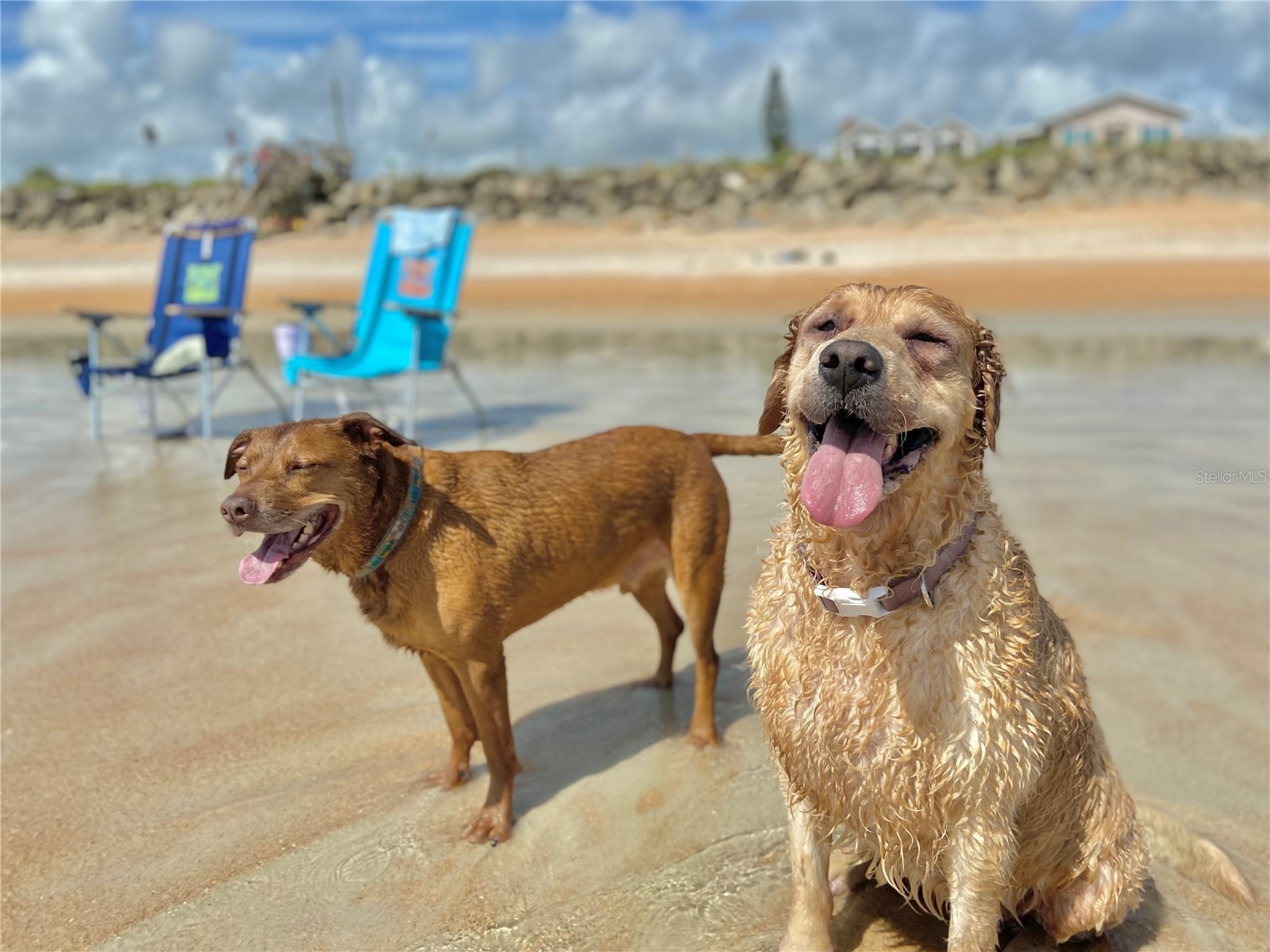 200 Marina Bay Drive #201 Flagler Beach FL 32136 - ATLANTIC INTRACOASTAL WATERWAY FC295621 image54