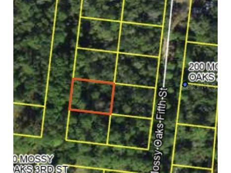 200 Mossy Oaks 4th Street Quincy FL 32351 S5145518 image1