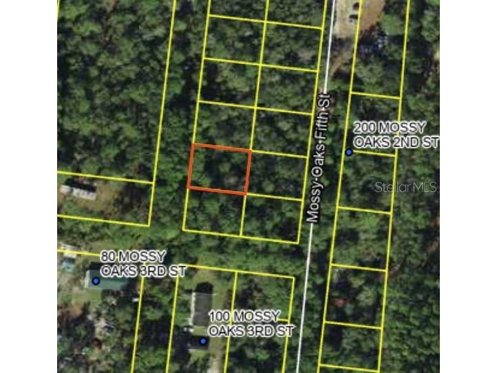 200 Mossy Oaks 4th Street Quincy FL 32351 S5145518 image3
