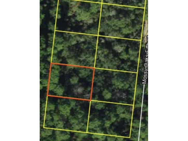 200 Mossy Oaks 4th Street Quincy FL 32351 S5145518 image4
