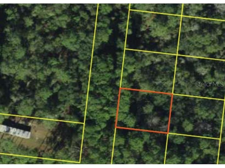 200 Mossy Oaks 4th Street Quincy FL 32351 S5145518 image5