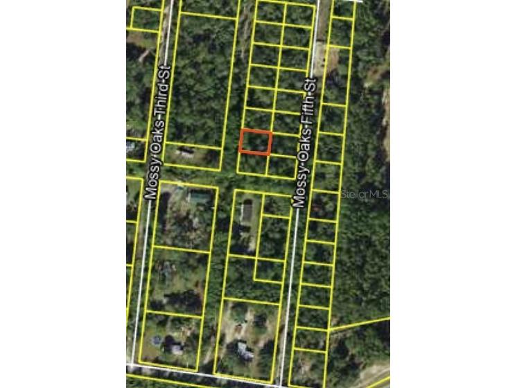 200 Mossy Oaks 4th Street Quincy FL 32351 S5145518 image6