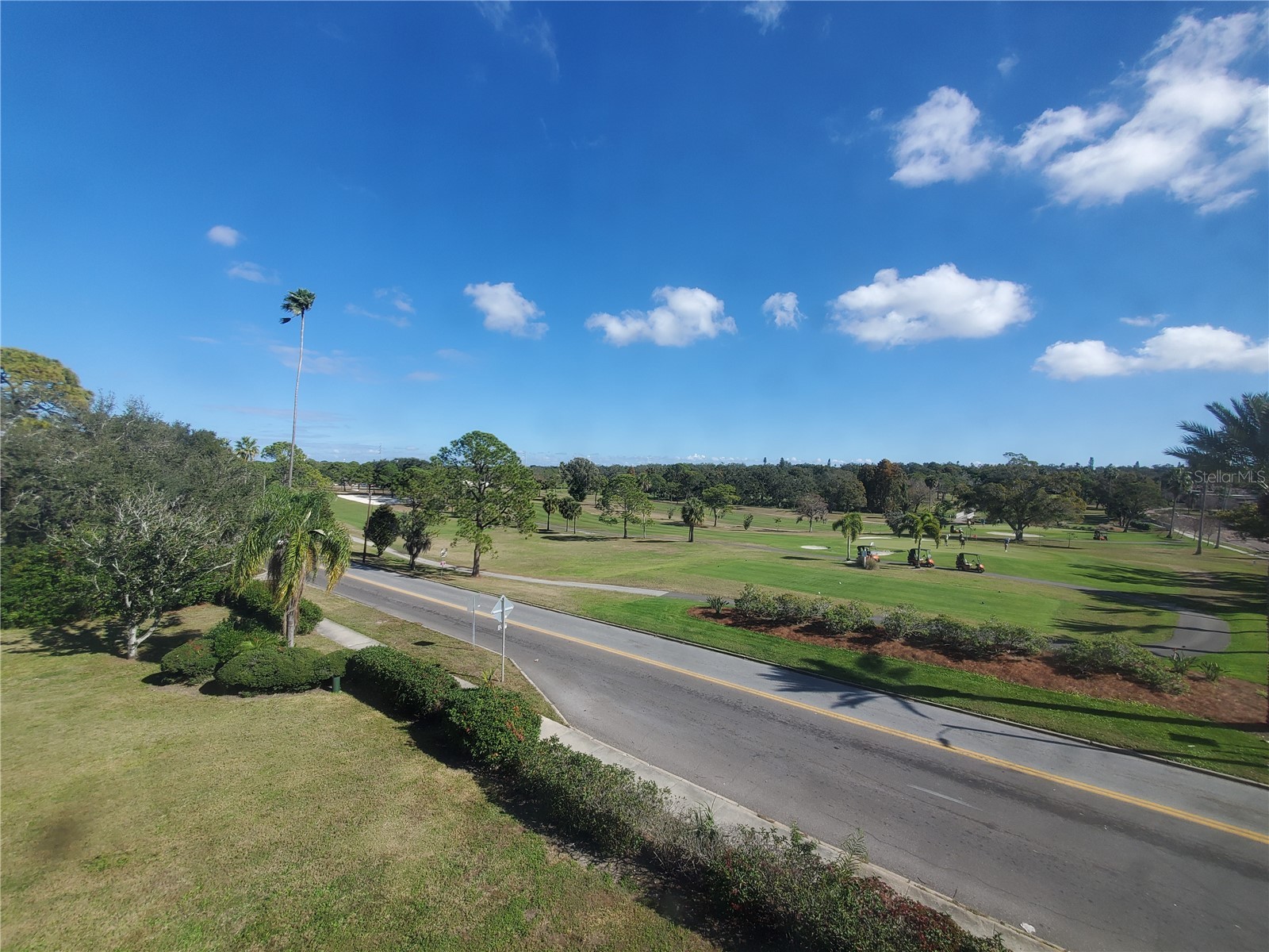 200 N Betty Lane #3A Clearwater FL 33755 TB8466021 image17