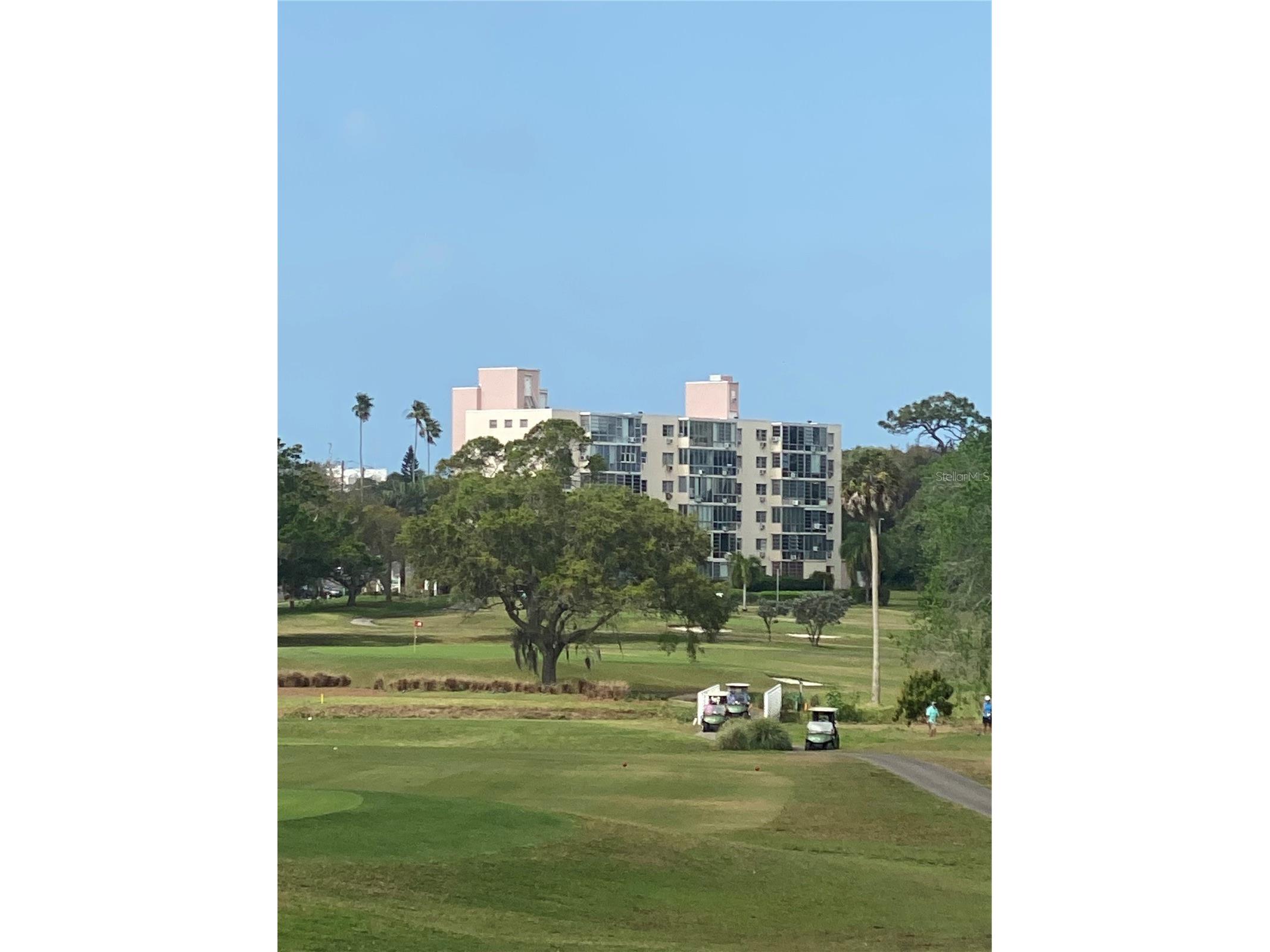 200 N Betty Lane #3E Clearwater FL 33755 TB8474380 image14