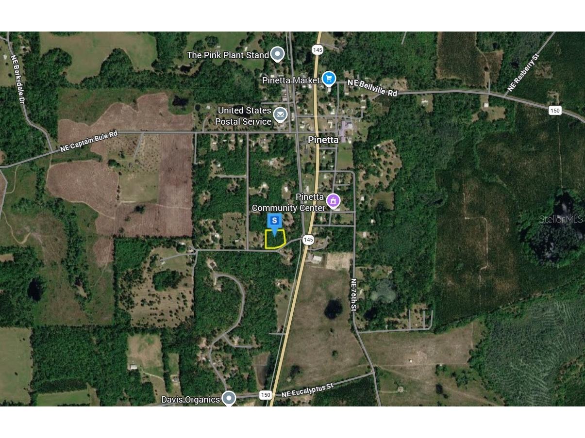 200 NE Poppy Trail Pinetta FL 32350 A4683698 image3