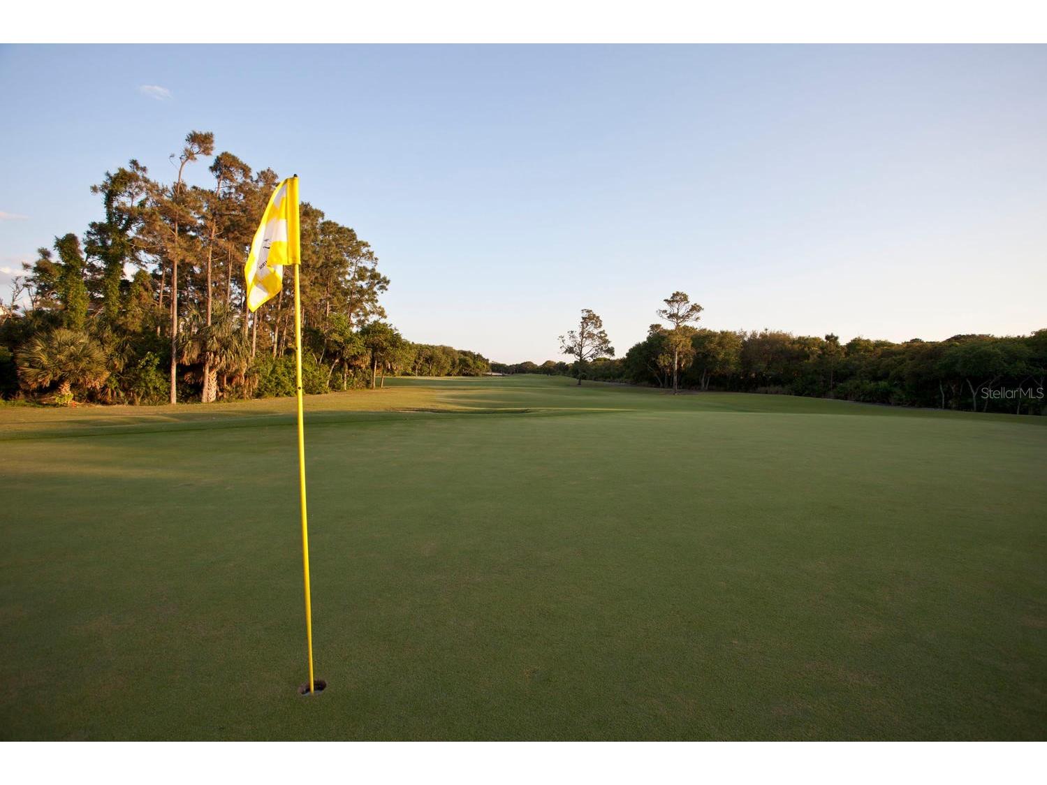 200 Ocean Crest Drive #843 Palm Coast FL 32137 FC315506 image52