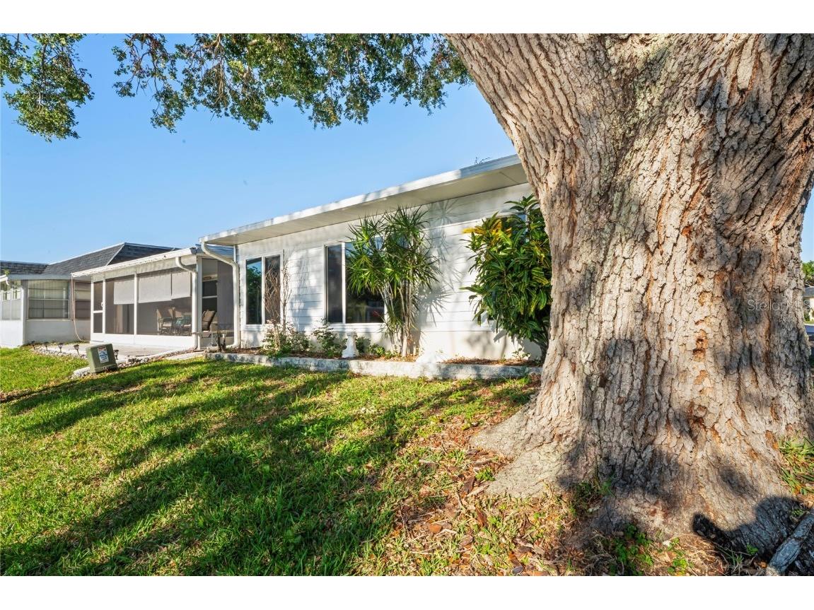 200 Portree Drive Dunedin FL 34698 TB8374637 image10