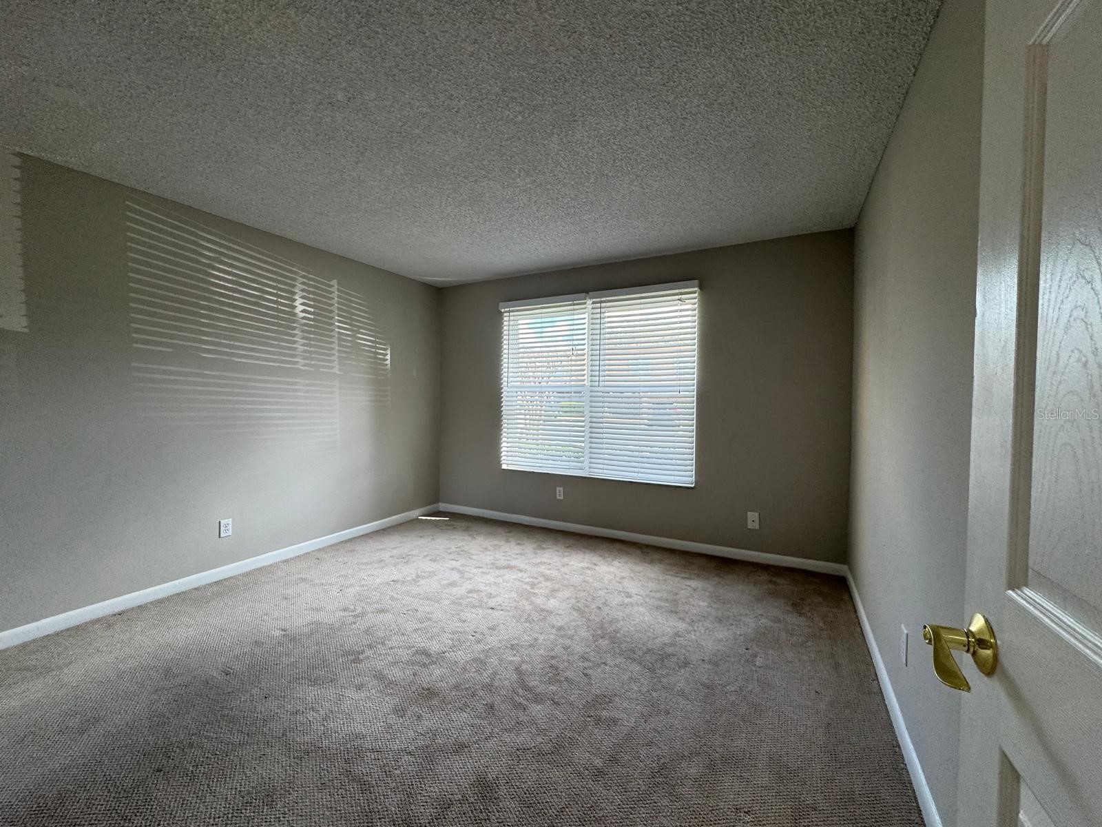 200 Saint Andrews Boulevard #2302 Winter Park FL 32792 O6386317 image12