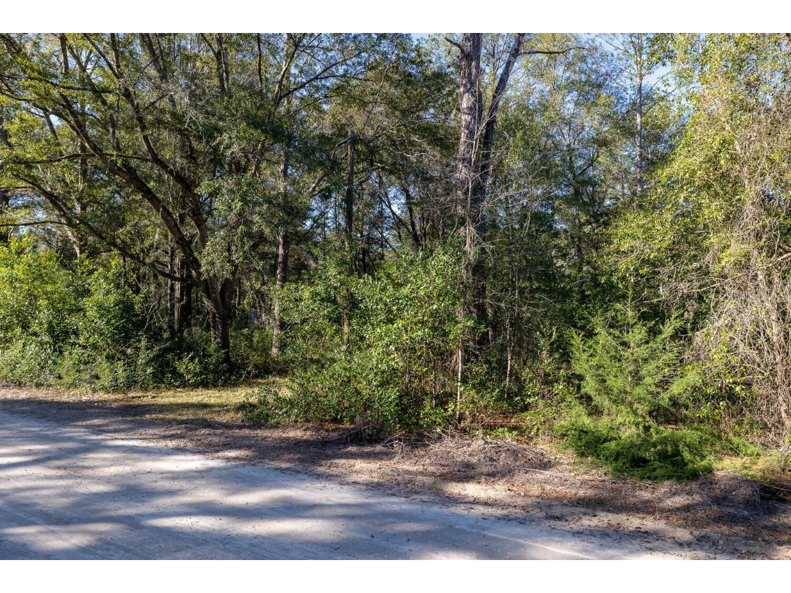 200 SW 156th Court Ocala FL 34481 OM651476 image1